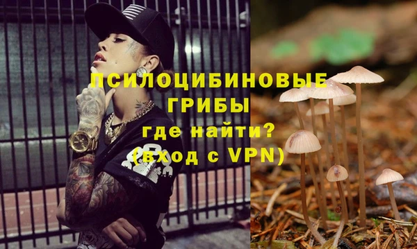 мдпв Баксан