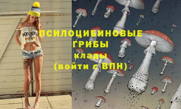первитин Арсеньев