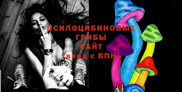 ГАЛЛЮЦИНОГЕННЫЕ ГРИБЫ Аркадак
