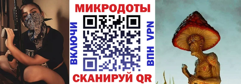 Галлюциногенные грибы Psilocybine cubensis  Свирск 